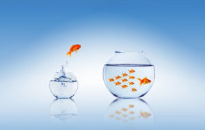 Projet de vie - C'nk Coaching